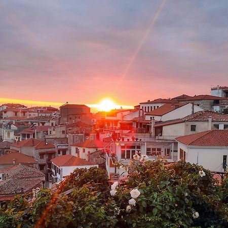 Cozy Attic Apartment Arachova Exterior photo